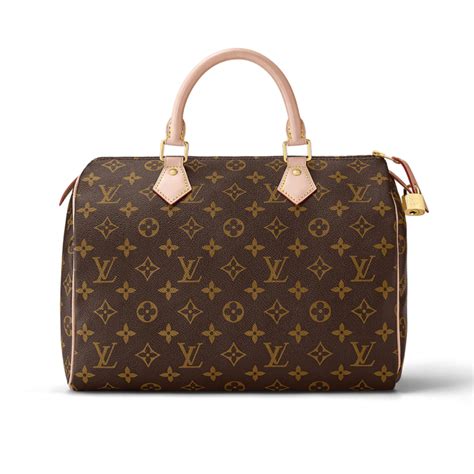 louis vuitton premium bag|louis vuitton bag cost.